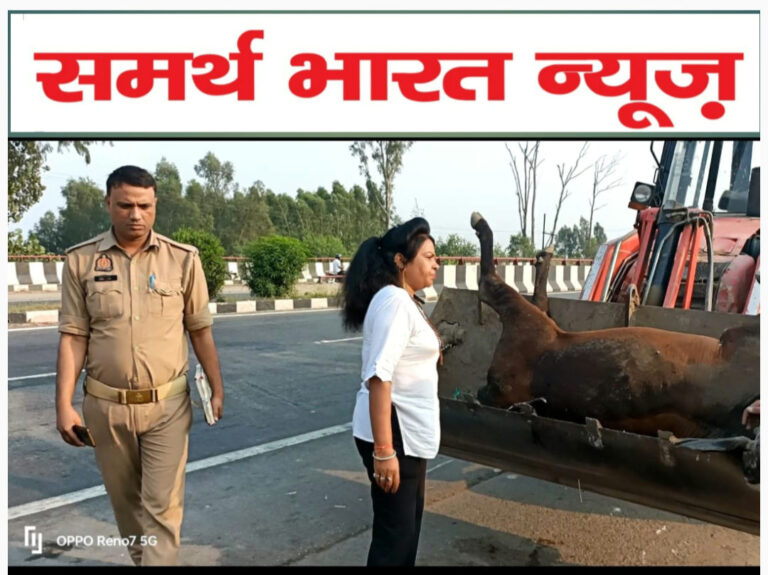 Screenshot_20241014_183429_1